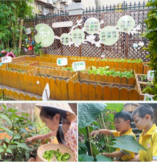 汉区北湖幼儿园抓牢关键阶段尊龙凯时·中国网站武汉市江(图1)